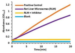 Abcam&nbsp;Cytochrome P450 Reductase Activity Assay Kit, Colorimetric, 100 Tests