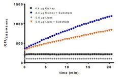 Abcam&nbsp;Deubiquitinase Assay Kit, Fluorescent, Cell and Tissue Extracts, 100 Tests