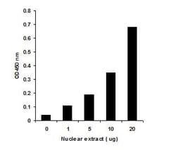 Abcam&nbsp;Dnmt Activity Assay Kit, Colorimetric, Enzyme Activity, 48 Tests