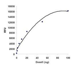Abcam, DNMT Activity Assay Kit, Fluorometric, 96 Tests