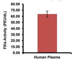 Abcam&nbsp;Factor XIa Assay Kit, Colorimetric, 100 Tests
