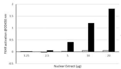 Abcam&nbsp;FOXO1 Transcription Factor Assay Kit, Colorimetric, 5x96 Tests