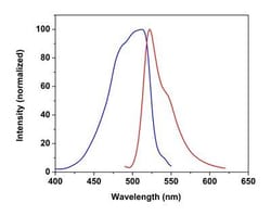 Abcam&nbsp;Free Fatty Acid Uptake Assay Kit, Fluorometric, 100 Tests