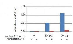 Abcam&nbsp;HDAC Activity Assay Kit, Colorimetric, 96 Tests