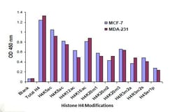 Abcam&nbsp;Histone H4 Modification Multiplex Assay Kit, Colorimetric, 96 Tests