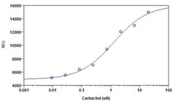 Abcam&nbsp;Intracellular pH Assay Kit, Cell-based, Fluorescent, 1000 Tests