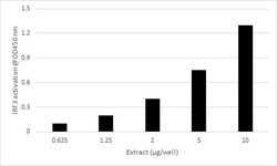 Abcam&nbsp;IRF3 Transcription Factor Assay Kit, Colorimetric, Human, 5X96 Tests