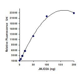 Abcam&nbsp;KDM4/JMJD2 Activity Quantification Assay Kit, Fluorometric, 96 Tests