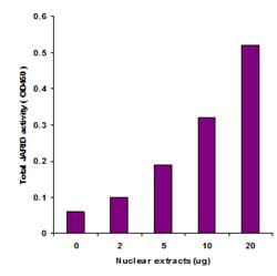 Abcam&nbsp;KDM5/JARID Activity Quantification Assay Kit, Colorimetric, 48 Tests