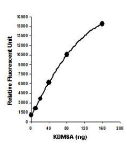 Abcam&nbsp;KDM6A/KDM6B Activity Quantification Assay Kit, Fluorometric, 48 Tests