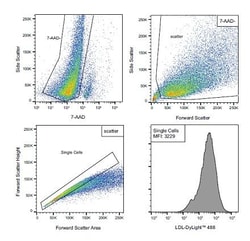 Abcam&nbsp;Ldl Uptake Assay Kit, Flow Cytometry, Adherent Cells, 48 Tests