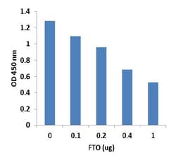 Abcam&nbsp;m6A Demethylase Assay Kit, Colorimetric, 48 Tests