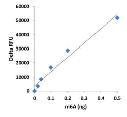 Abcam&nbsp;m6A RNA Methylation Assay Kit, Fluorometric, Quantitative, 1x96 Tests