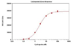 Abcam&nbsp;MDR Assay Kit, Fluorometric, Quantitative, 10x96 Tests