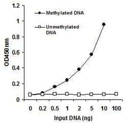 Abcam&nbsp;Methylated DNA Quantification Kit, Colorimetric, 48 Tests