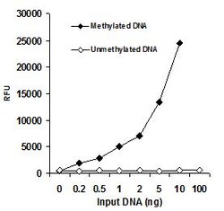 Abcam&nbsp;Methylated DNA Quantification Kit, Fluorometric, Quantitative, 48 Tests