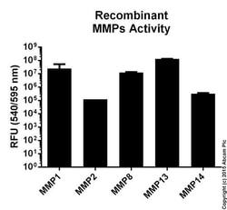 Abcam&nbsp;MMP Activity Assay Kit, Fluorometric, Red, 100/Test