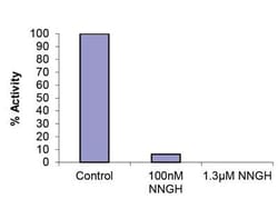 Abcam&nbsp;MMP13 Inhibitor Screening Assay Kit, Colorimetric, 1x96 Tests