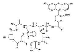 Abcam&nbsp;Phalloidin FITC Reagent, Fluorescence Microscopy, Liquid, 300 Tests