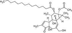 Abcam&nbsp;Phorbol 12-Myristate 13-Acetate, PKC Activator, Solid, 25 mg