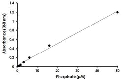 Abcam&nbsp;Phosphate Assay Kit, Colorimetric, 0.2 &mu;M Sensitivity, 200 Tests