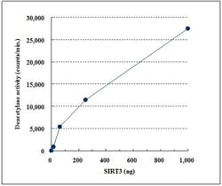 Abcam&nbsp;SIRT3 Activity Assay Kit, Fluorometric, Human, 100 Tests