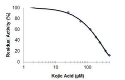 Abcam&nbsp;Tyrosinase Inhibitor Assay Kit, Colorimetric, Enzyme Activity, 100 Tests