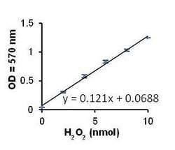 Abcam&nbsp;Xanthine Oxidase Activity Assay Kit, Colorimetric, Fluorometric, 100 Tests