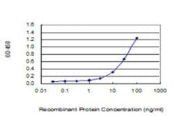 B2M Mouse anti-Human, Unconjugated, Clone: 3F9-2C2, Abnova 100 &mu;g; Unconjugated:Antibodies,