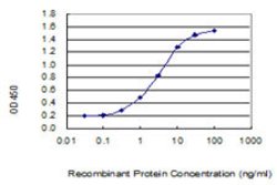 GMNN Mouse anti-Human, Unconjugated, Clone: 1A8, Abnova 100 &mu;g; Unconjugated:Antibodies,
