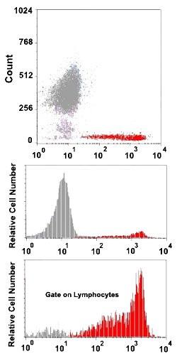 CD7 Mouse anti-Human, Clone: HIT7 (PE), Abnova 100 Reactions | Buy Online | Abnova Corporation | Fisher Scientific