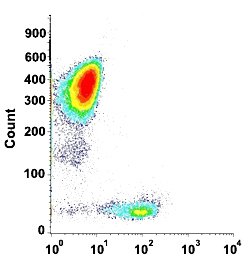 CD7 Mouse anti-Human, Clone: HIT7 (CF-Blue), Abnova 100 Reactions:Antibodies,