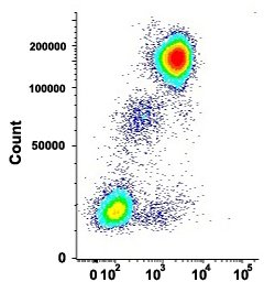 MME Mouse anti-Human, Clone: HI10a, Abnova 100ug:Antibodies, Monoclonal