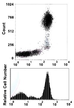 ITGAM Mouse anti-Human, Clone: DCIS1/18 (PerCP), Abnova 100 Reactions:Antibodies,