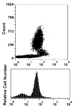 ITGAX Mouse anti-Human, Clone: BU-15 (PerCP), Abnova 100 Reactions:Antibodies,