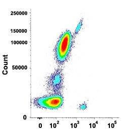 CD19 Mouse anti-Human, Clone: A3-B1 (CF-Blue), Abnova 100 Reactions:Antibodies,