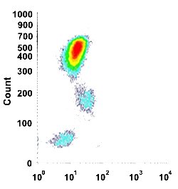 CR2 Mouse anti-Human, Clone: HI21a, Abnova 100ug:Antibodies, Monoclonal