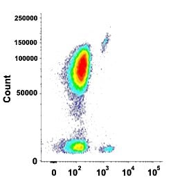 CD22 Mouse anti-Human, Clone: HIB22 (CF-Blue), Abnova 100 Reactions:Antibodies,