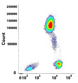 PTPRC Mouse anti-Human, Clone: HI30, Abnova 100 &mu;g | Buy Online | Abnova | Fisher Scientific