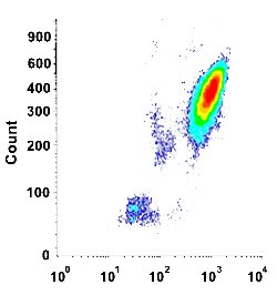 CD58 Mouse anti-Human, Clone: HI58a (FITC), Abnova 100 Reactions | Buy Online | Abnova | Fisher Scientific