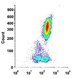 CD59 Mouse anti-Human, Clone: VJ1/12,2 (PerCP), Abnova 100 Reactions:Antibodies,