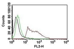 Human nuclei Mouse anti-Human, Clone: 235-1 (PE), Abnova 500uL:Antibodies,