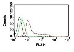Human nuclei Mouse anti-Human, Clone: 235-1 (PE), Abnova 500uL:Antibodies,