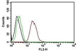 ESR2 Mouse anti-Human, Clone: ERb455 (PE), Abnova 500uL:Antibodies, Monoclonal