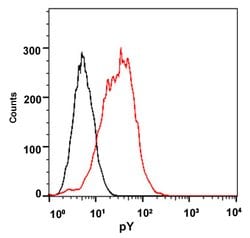 Phosphotyrosine Mouse, Clone: E10, Abnova 100ug:Anticuerpos