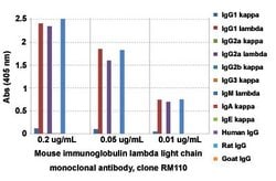 Mouse immunoglobulin lambda light chain Rabbit anti-Mouse, Clone: RM110