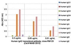 Human IgA2 Rabbit anti-Human, Clone: RM125 (Biotin), Abnova 50ug:Antibodies,