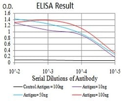 DNMT3B Mouse anti-Human, Clone:4D1A2E5, Abnova™