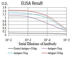LGR5 Mouse anti-Human, Clone:2B5B9, Abnova™