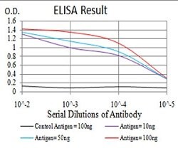 SIRT3 Mouse anti-Human, Clone:6C12D1, Abnova 100&mu;g:Antibodies, Monoclonal